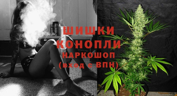 мяу мяу мука Белокуриха