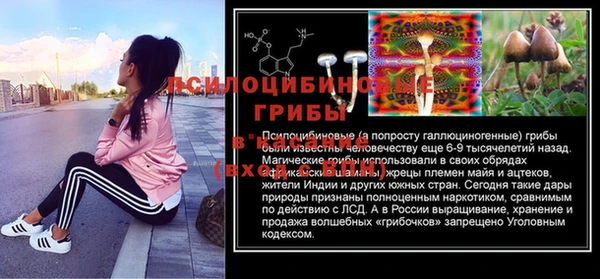 apvp Белоозёрский
