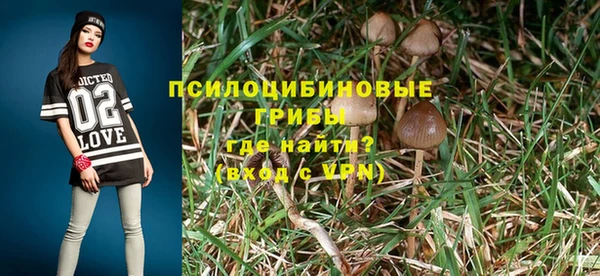 мяу мяу мука Белокуриха