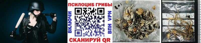 продажа наркотиков  Пыть-Ях  это официальный сайт  Галлюциногенные грибы Psilocybe 